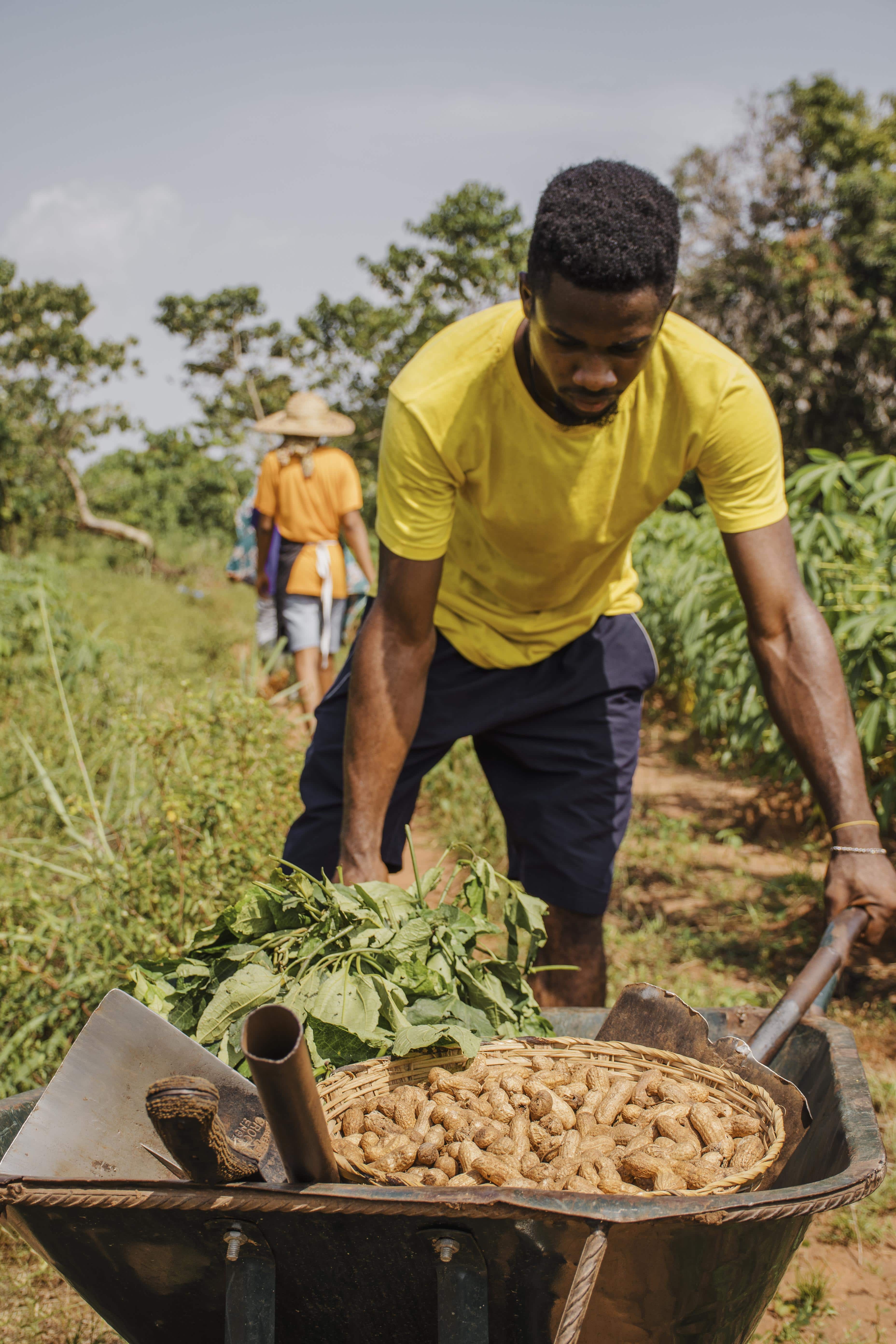 Job Creation & Livelihoods