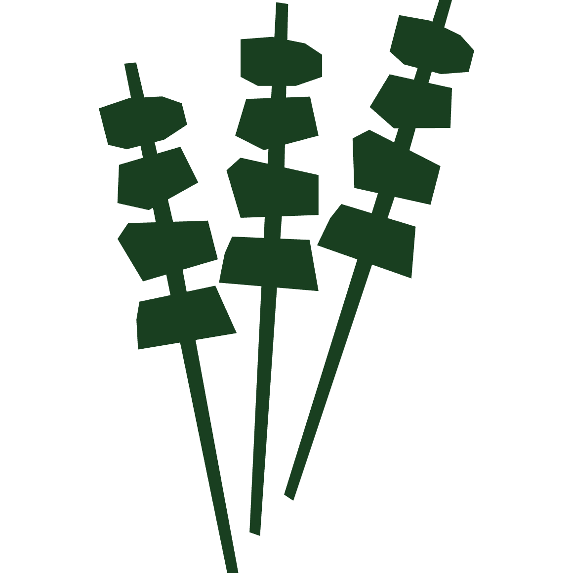 Murfaj Farms: Visual representation of Agro-Processing & Manufacturing